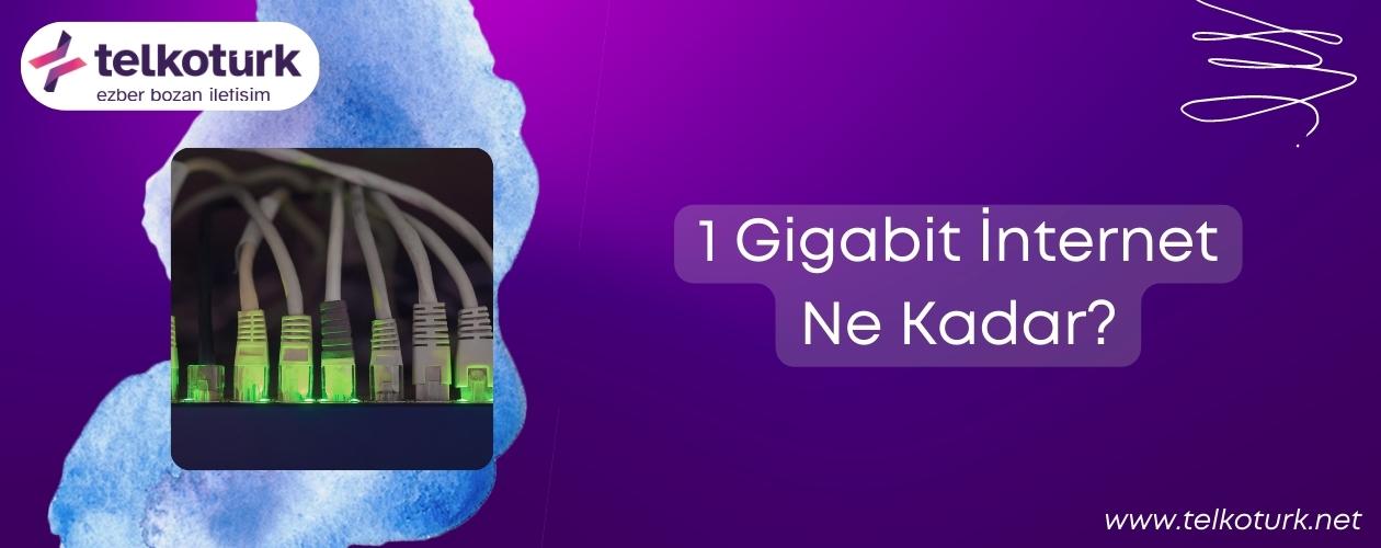 1 Gigabit İnternet Ne Kadar - Fiyatları - Kampanyaları - Telkoturk net